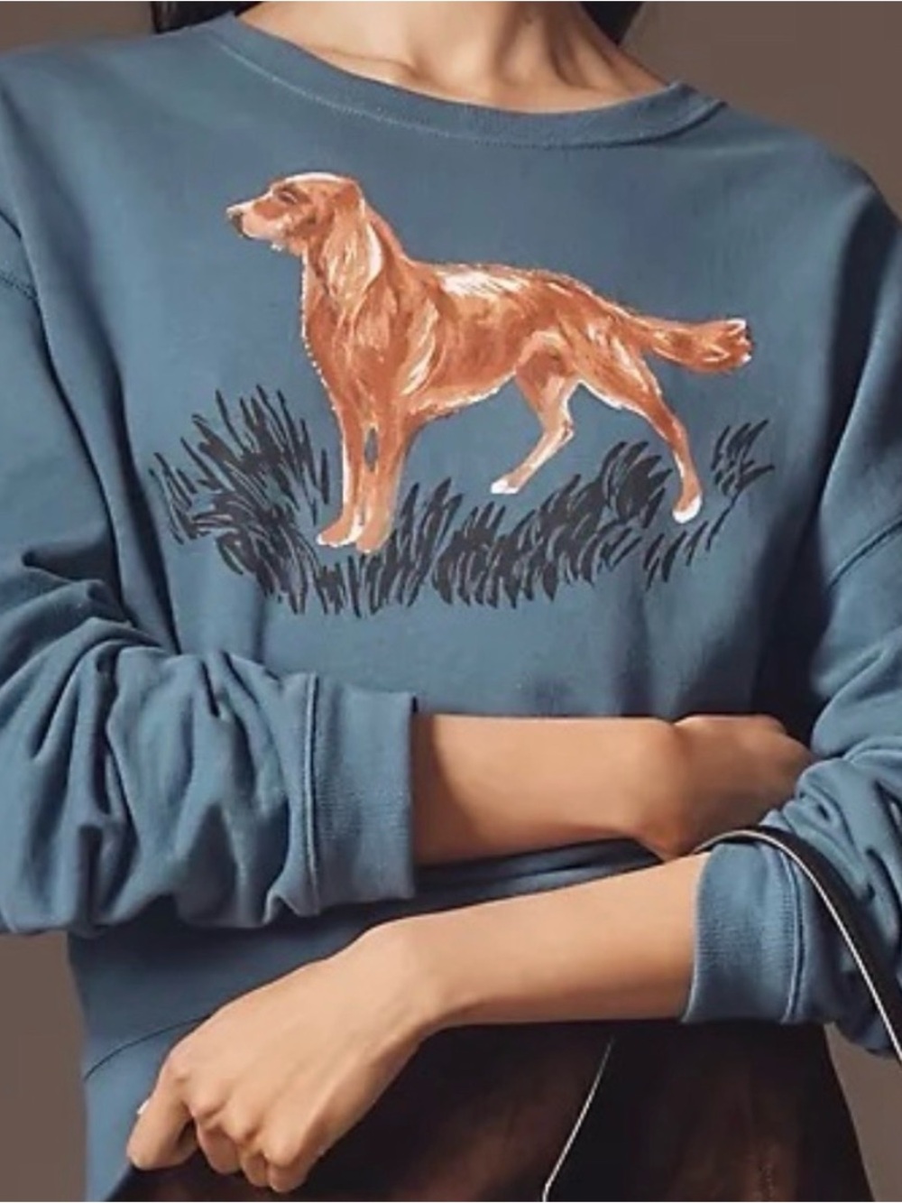 New Maeve Anthropologie Dog Sweater Sweatshirt Oversized 2X